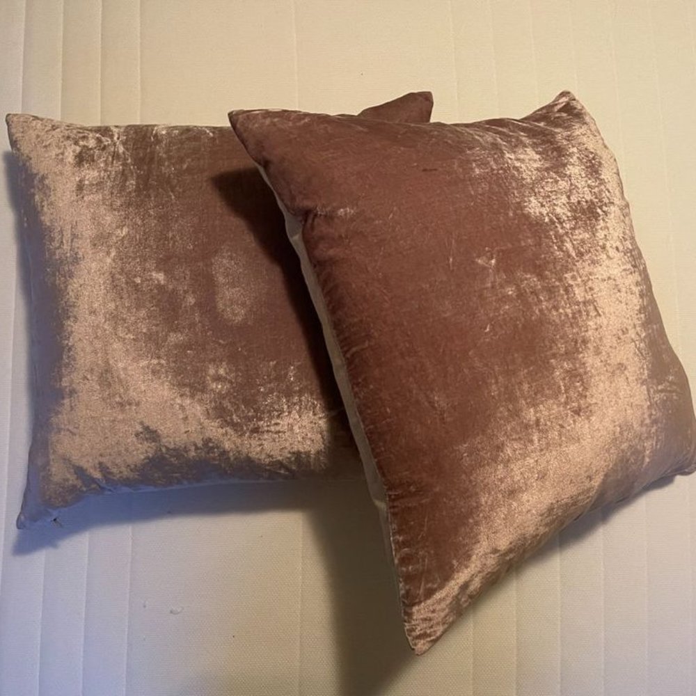 West Elm Lush Velvet Dusty Blush Throw Pillow Cover and Insert (Set of 2)
